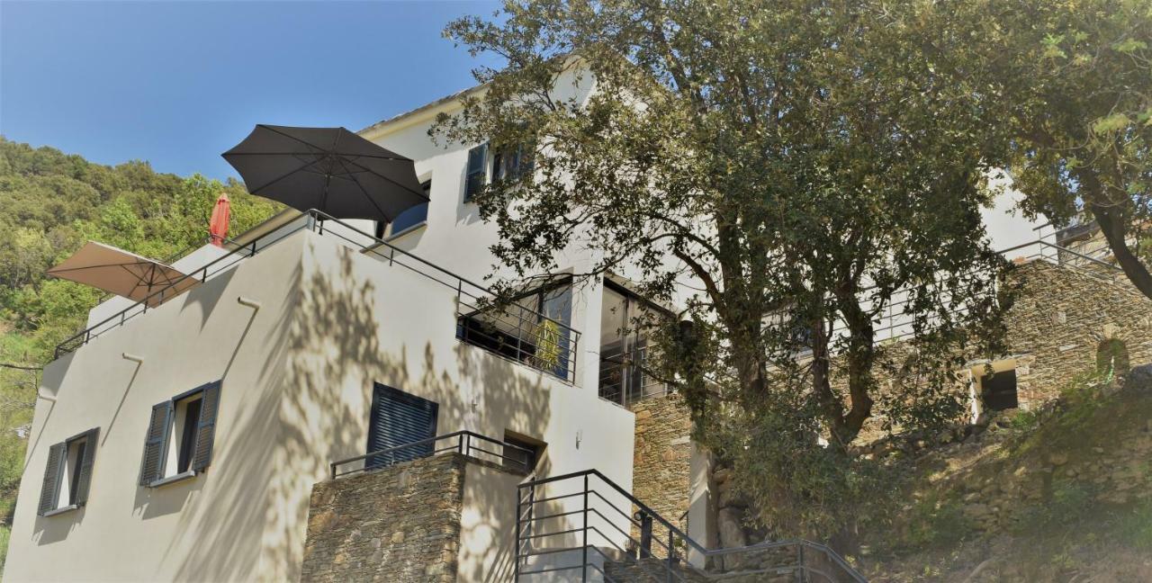 A Casa Di Campa *